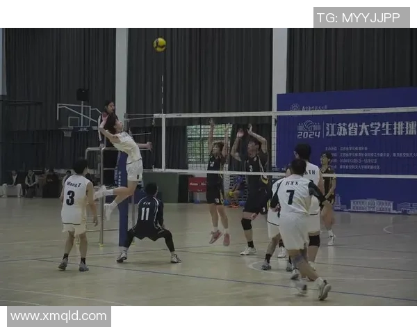 重庆排球队选拔赛背后的奋斗与成长历程全景揭秘