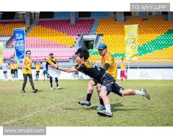 飞盘比赛经验排行榜揭晓北京飞盘队荣登第四名引发热议