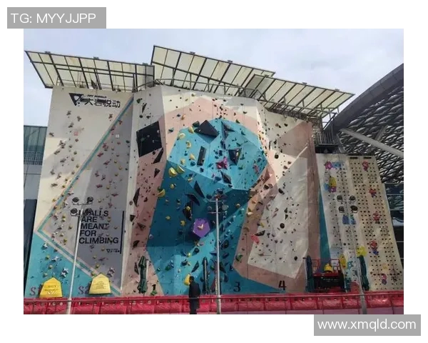 上海攀岩队边路渗透革新探索与实践的全景分析