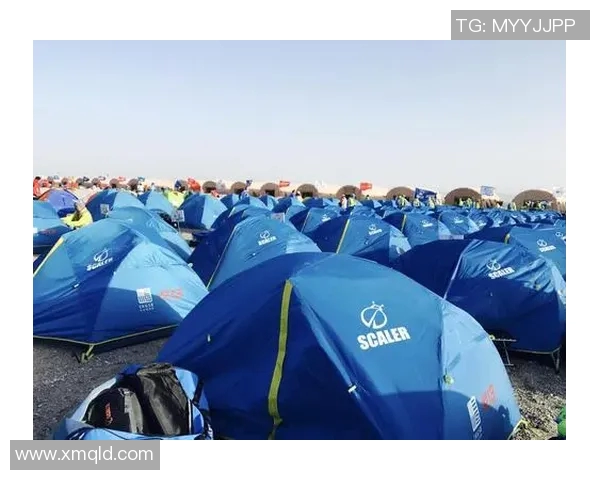 西安极限运动队团队协作的成功秘诀与挑战分析